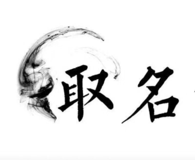  桑日宝宝取名 大师一对一人工起名